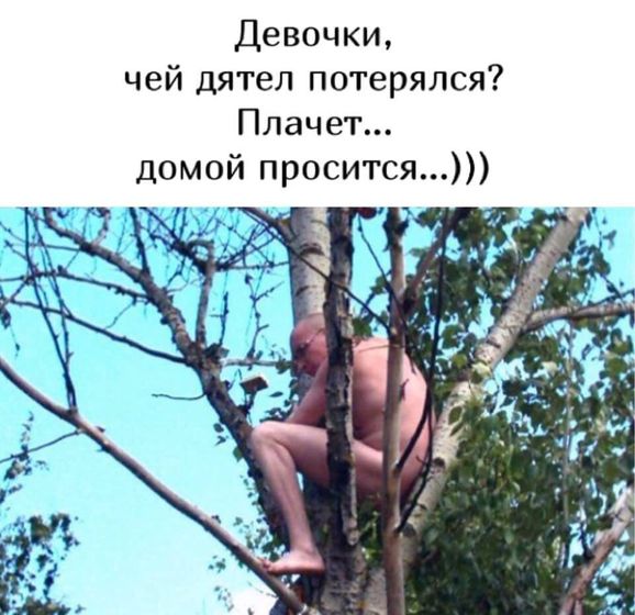 Спокойной ночи, всем!