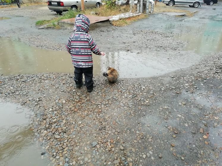 Урррааа! 😍Наша любимая погода 😍🥳