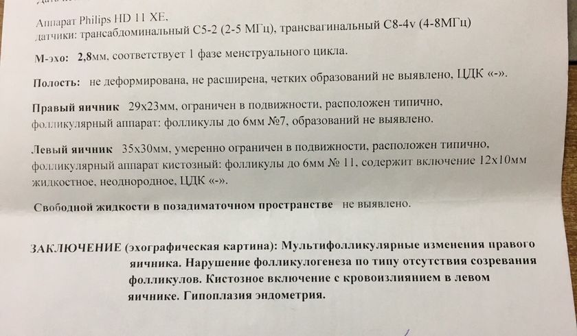 Добрый день, девочки, может