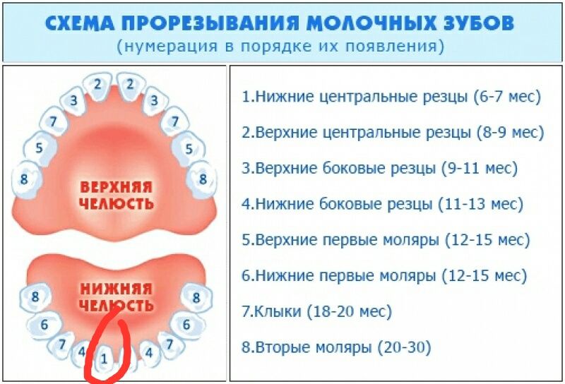 Зуб! Наконец то
