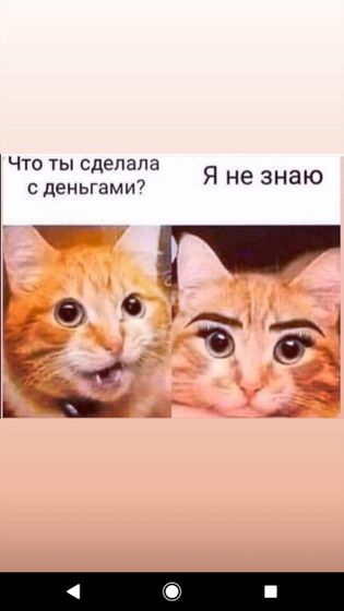 Фотография 2020-08-20 13:44:06