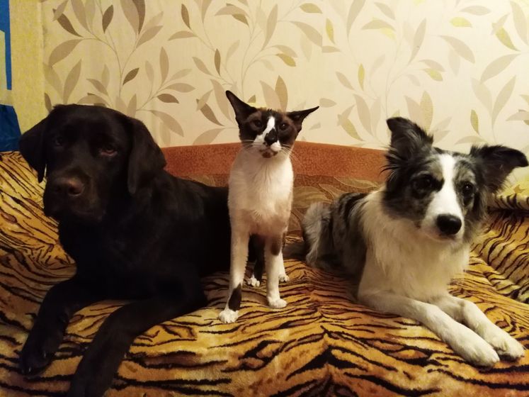 Новости.
