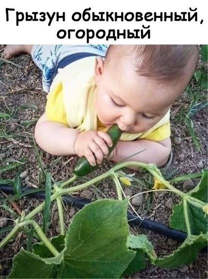 Несколько вопросов в кучу