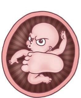 Шевеления 🤰