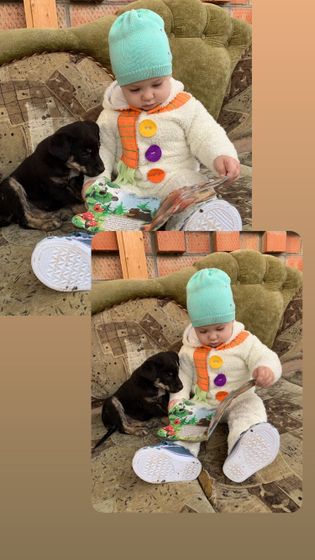 Щенок
