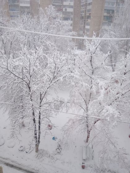 Ну, здравствуй зима!