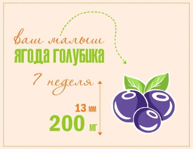 7️⃣ неделя ❤️?.