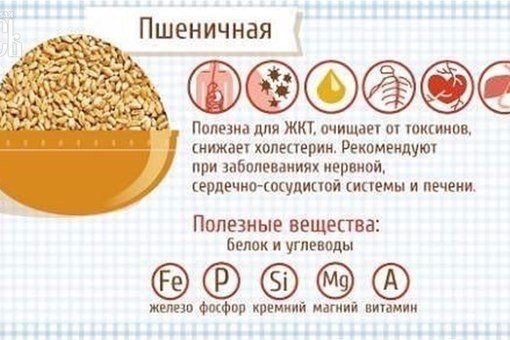 А какие каши вы