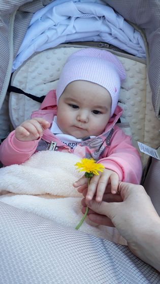Доброе утро/день