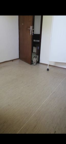 Гость в кабинете ктг