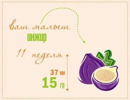 1️⃣1️⃣ недель ❤️.