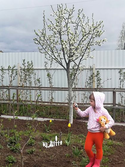 Наши новости на самоизоляции -2 (для подруг)