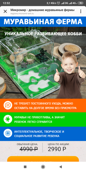 Муравьиная ферма
