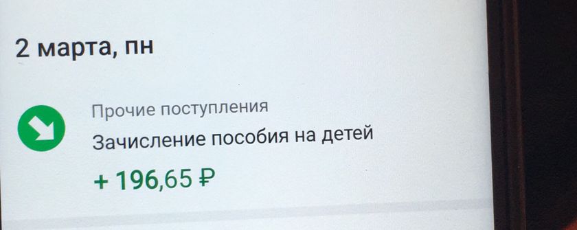 Пособия 196 р