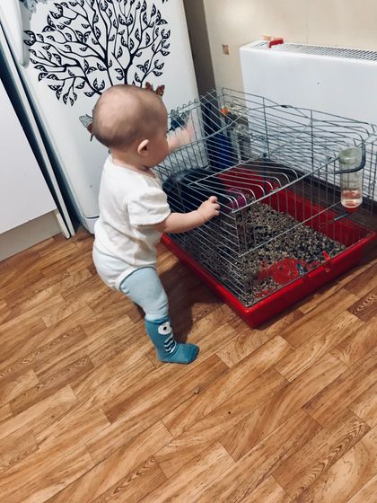 Началась учёба.