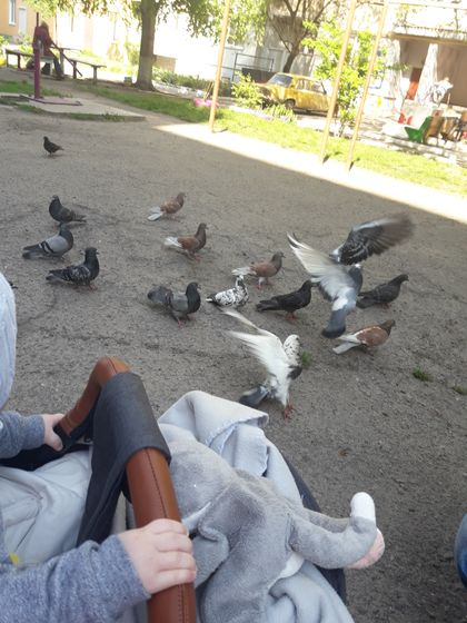 Наш досуг ?