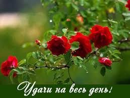 27/31 ШАГ ВЗЛЕТА ФЛАЙЛЕДИ
