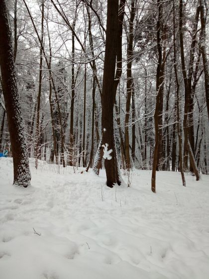 Спектакль