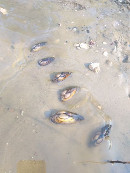 Погода прекрасная???жара, вода очень