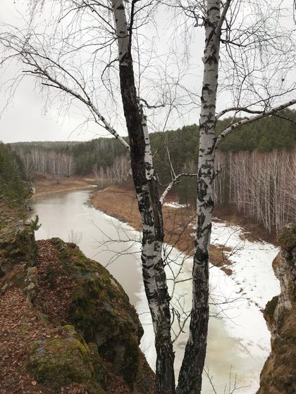 Прогулка в нашем лесу.