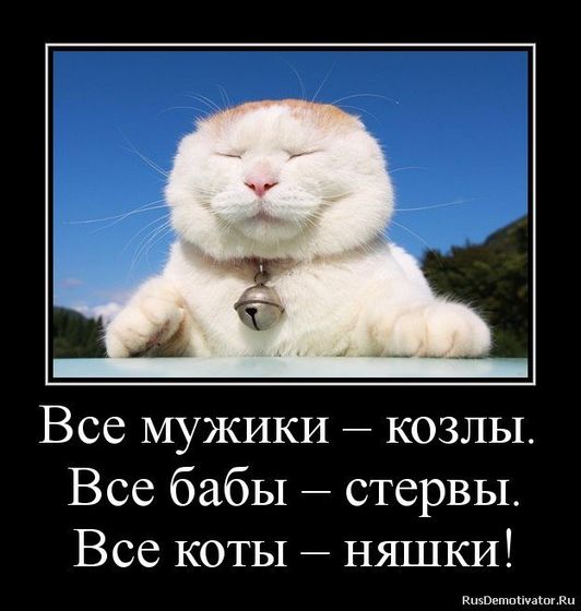 Пятница! Мужики и козлы. ТОП-9 фото посмеяться!