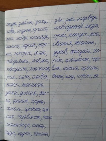 Дистанционное обучение первоклассника