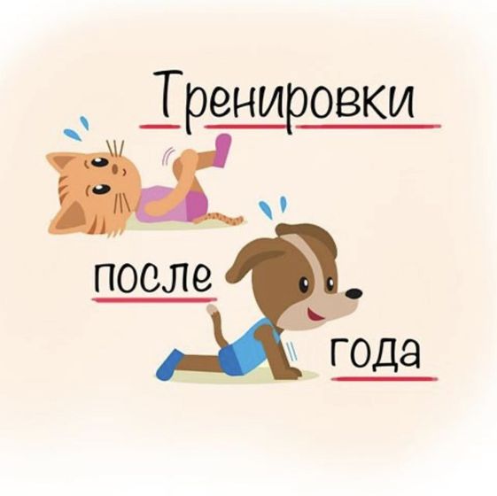 Тренировки после года