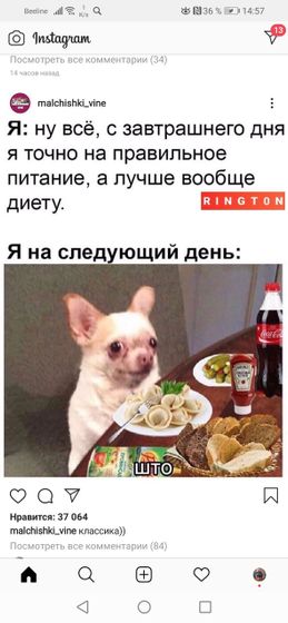Фотография 2020-07-23 13:58:03