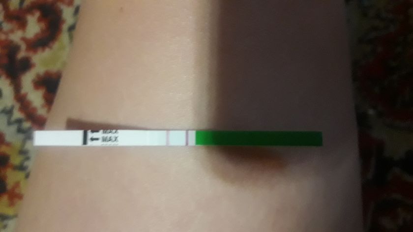 22Дц,завтра овуляция,низ живота тянет