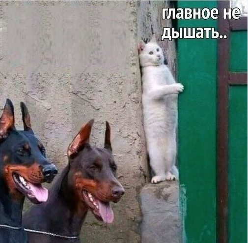 Карантин.