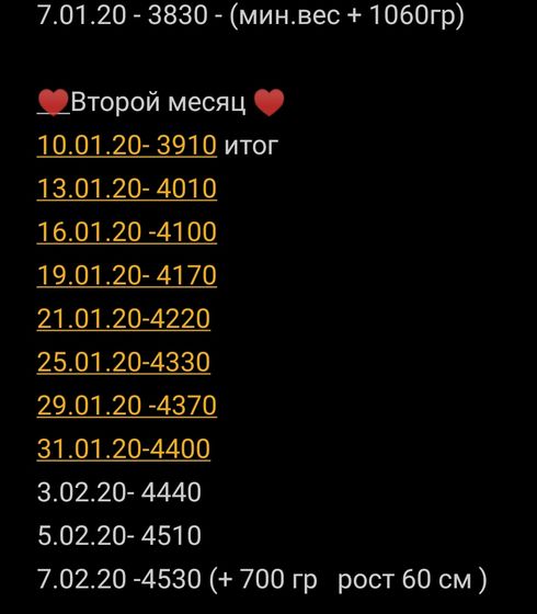 2 месяца
