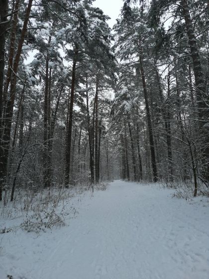 ❄️❄️❄️Люблю снежную погоду ❄️❄️❄️