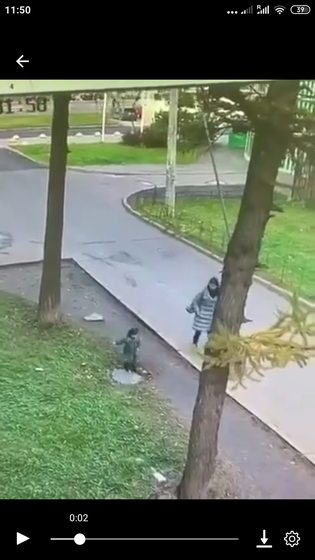 Пожалуйста, не давайте ходить
