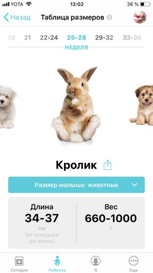 Новая неделька ?