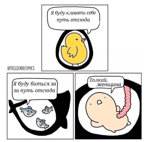 😂😂😂😂😂😂