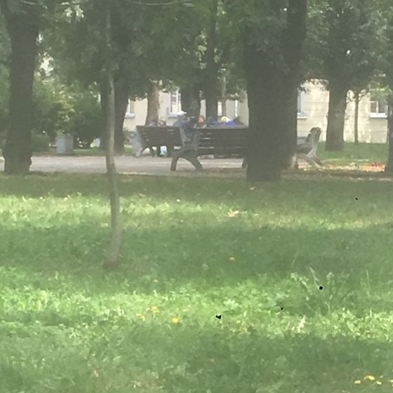 Как можно быть такими
