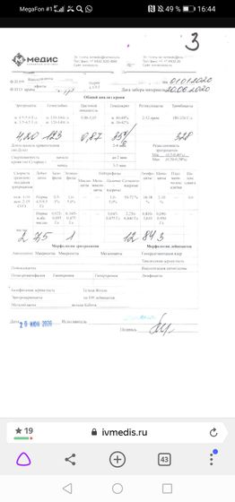 Лимфоциты 84% в крови