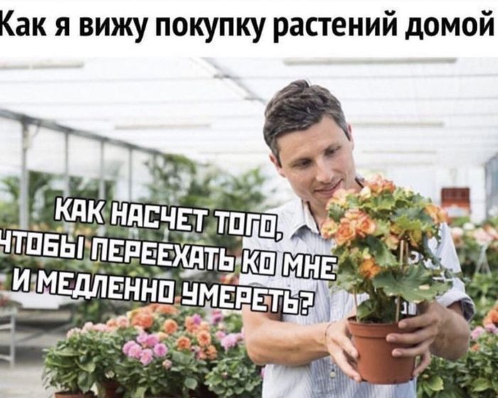 🤓 я так хочу!