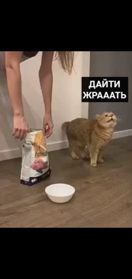 Спокойной ночи всем ?