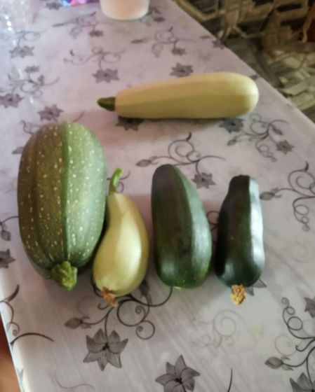 Кабачки
