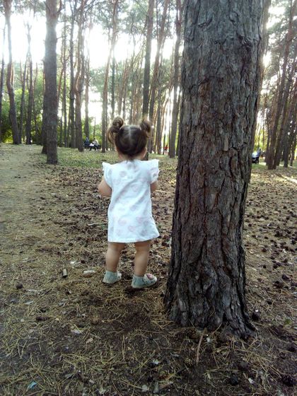 Наши новости