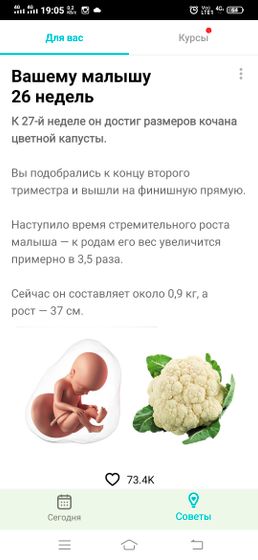 Сегодня ровно 26 недель?Даже