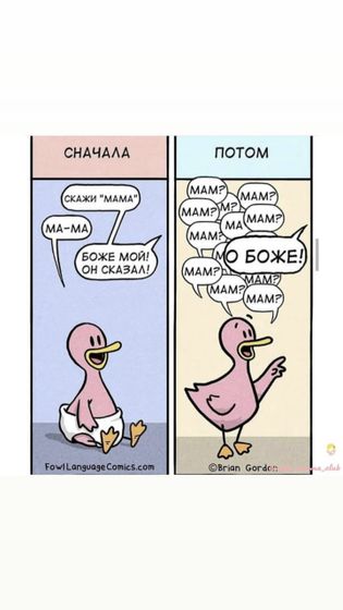Немного юмора в ленту