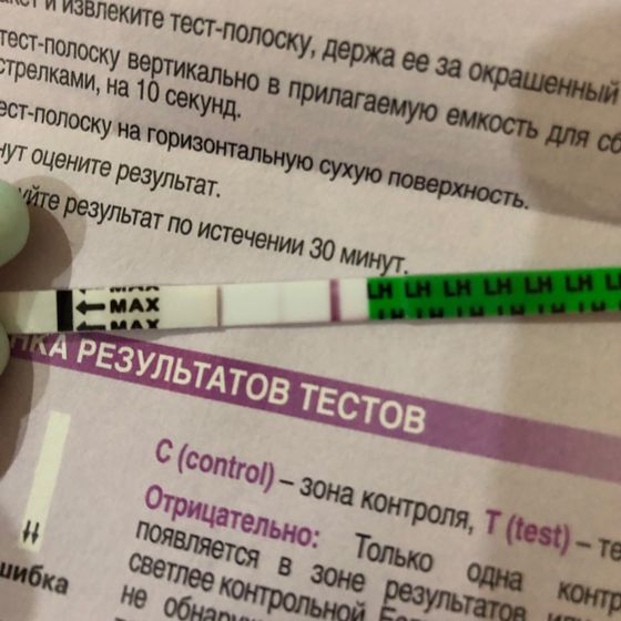 Тест на овуляцию