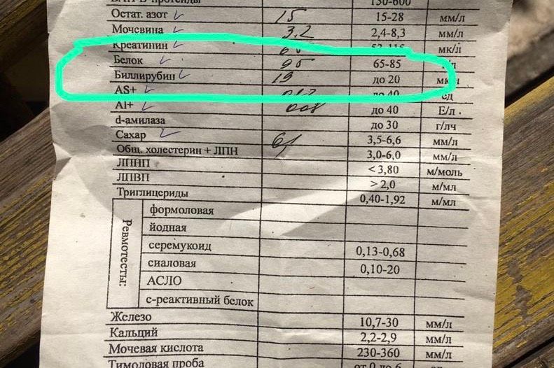 Повышен белок по биохимии