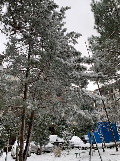 Грузия в снегу.