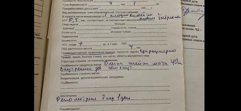 Результаты узи