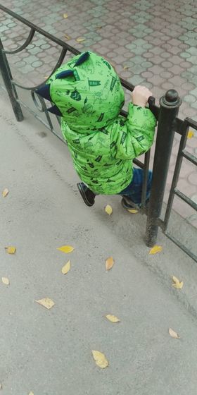 Артику 1,5❤️ Мой