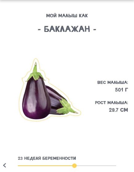 23 неделька нам.