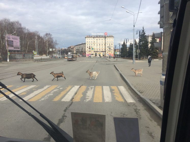 Наш нижний Тагил.